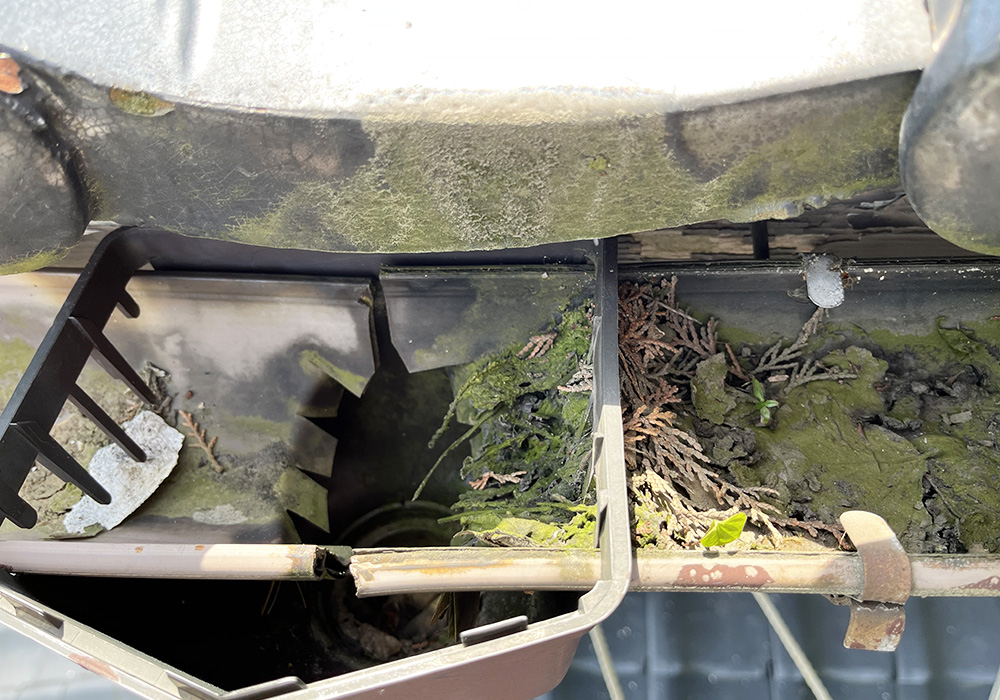 カトーデンキ お仕事日記 軒天の板・しっくい補修と掃除1