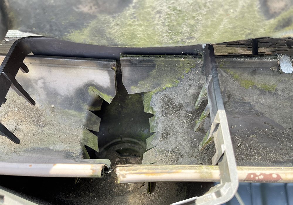 カトーデンキ お仕事日記 軒天の板・しっくい補修と掃除1